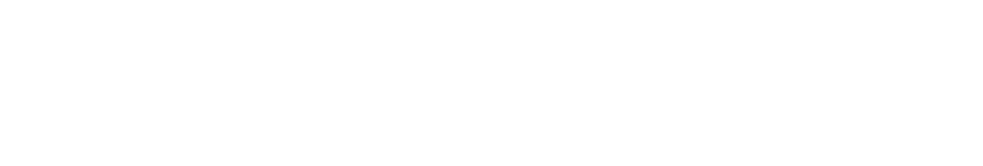 Hertz S.n.c di Strigini e Forastiero